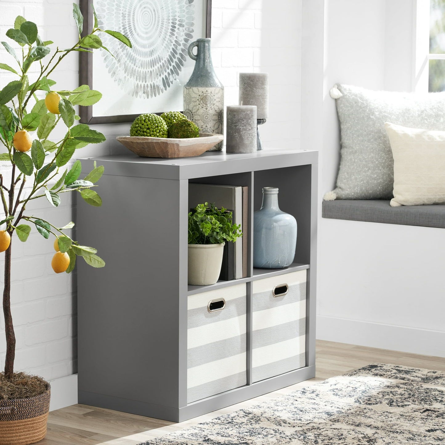 4-Cube Storage Organizer